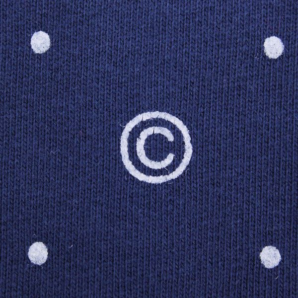 Carhartt Denton Sweatshirt Copyright Print Metro Blue White