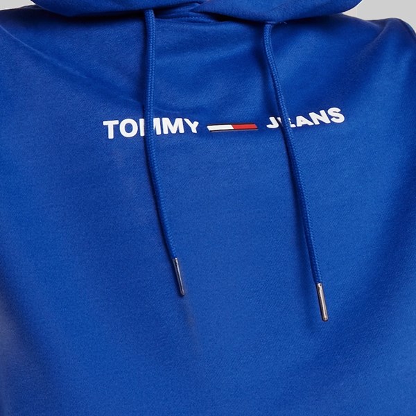 TOMMY JEANS STRAIGHT SMALL LOGO HOODIE SURF THE WEB 